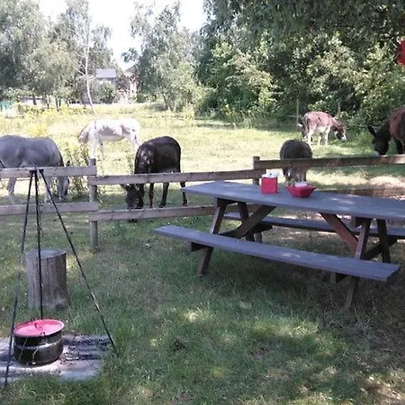 营地 De Balkende Hoeve